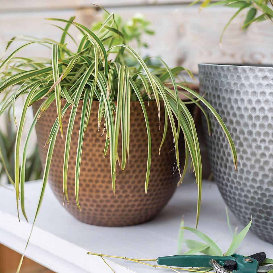 Brass Effect Hammered Planter