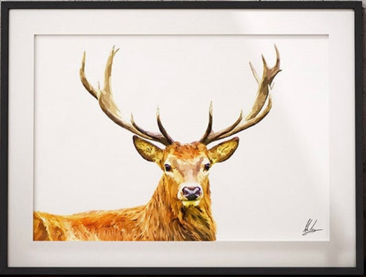 Scottish Stag Print