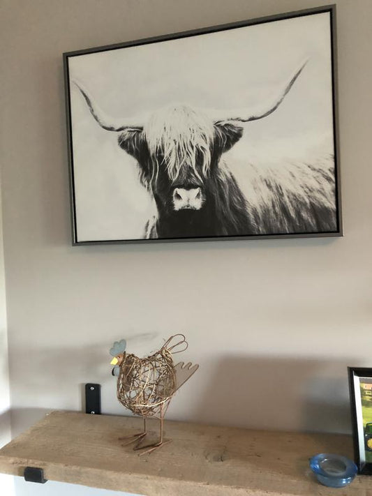 Monochrome Framed Highland Cow Canvas