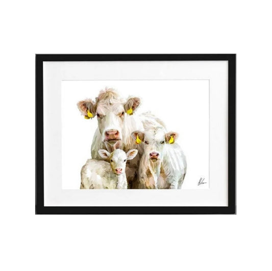 Charolais Cattle Premium Framed Print