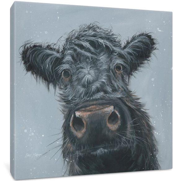 Black Cow Canvas