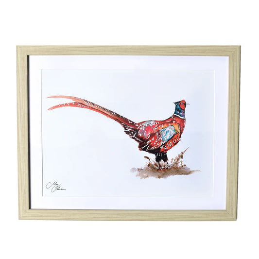 Pheasant Framed Print 50x40cm