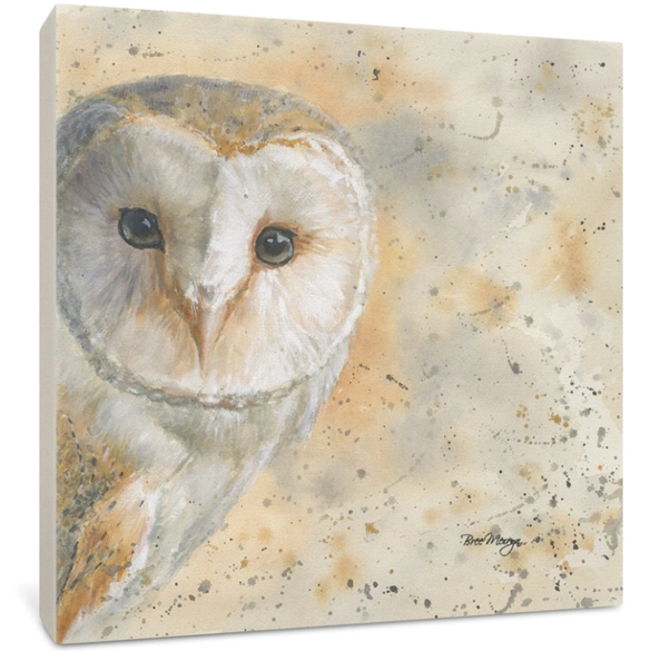 Owl Canvas